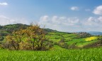 Il paesello Il paesello