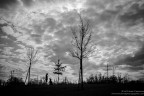 Amore in controluce Amore in controluce