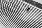 Linee Linee