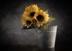 I girasoli nel vaso I girasoli nel vaso