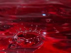 Ripple Ripple