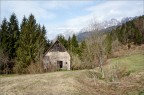 La casa nel bosco