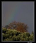 Arcobaleno! Arcobaleno!