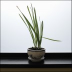 DSCF0944 DSCF0944