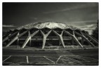 Volley Rome Volley Rome