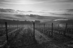 Vigna e un po' di piu' Vigna e un po' di piu'