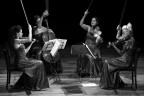 Alter Echo String Quartet Alter Echo String Quartet