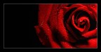 dal nero al rosso dal nero al rosso