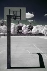Infra-Red 15 Infra-Red 15