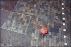 2016042410 Padova 2016042410 Padova