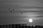 il ponte... il ponte...