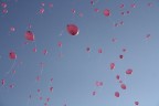 8 Marzo 8 Marzo