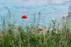 In riva al lago In riva al lago