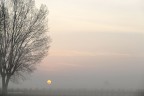 alba correggese alba correggese
