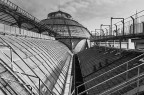 Sul tetto della galleria B e W