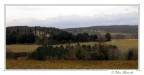 Colline! Colline!
