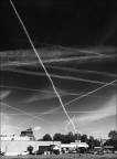 I pascoli del cielo I pascoli del cielo