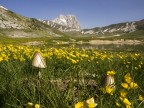 Gran Sasso Gran Sasso