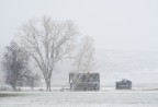 Winter Winter