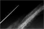 Scie 1 Scie 1