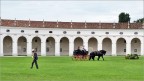 Villa Manin (UD) Villa Manin (UD)