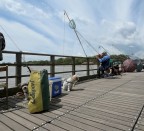 Attento ad ogni movimento.......