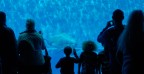 Un piacevole incontro all'acquario di Genova,