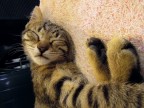 shhhhhhhhhhhhh shhhhhhhhhhhhh