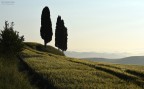 VAL D'ORCIA - Alba 5 VAL D'ORCIA - Alba 5