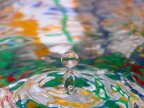Ripple2 Ripple2