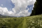 Passo Fittanze Passo Fittanze