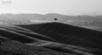 VAL D'ORCIA - Alba VAL D'ORCIA - Alba