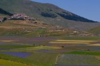 Castelluccio di Norcia Castelluccio di Norcia