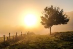 Accecato sulla via Accecato sulla via