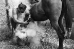 Ferratura a caldo