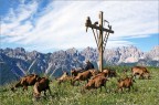 Dolomiti Croce di Varmost (UD)
