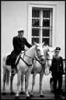 Polizia Polizia