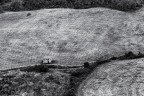 Grafismo in BW Grafismo in BW