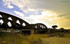 ponte ponte