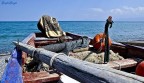 Il mare Il mare