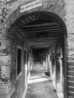 ...Venezia