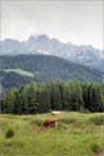 Dolomiti img.403