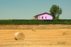 Casa nel campo Casa nel campo