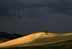luci prima della pioggia luci prima della pioggia