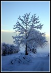 Ultima neve Ultima neve