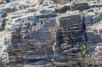 texture naturale texture naturale