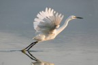 ..take-off.. ..take-off..