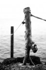 foto di un palo foto di un palo