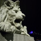 cosa mangiano i leoni?