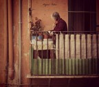 L'amore per le piante L'amore per le piante